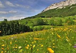 Picture of Au Joyeux Reveil, Isère Picture of Au Joyeux Reveil, Isère