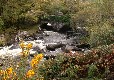 Picture of Ring of Kerry Caravan and Camping Park, Kerry Picture of Ring of Kerry Caravan and Camping Park, Kerry