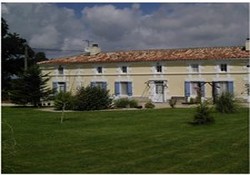 Picture of The Vines, Charente-Maritime, Poitou Charente
