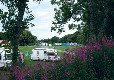Picture of Culzean Castle Camping and Caravanning Club Site, Strathclyde