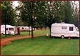 Picture of Reedham Ferry Touring Park, Norfolk, East England