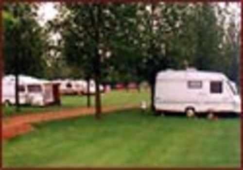 Picture of Reedham Ferry Touring Park, Norfolk, East England