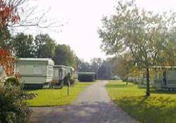 Picture of The Old Mill Caravan Park, Moray Picture of The Old Mill Caravan Park, Moray