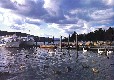 Picture of Old Park Wood Caravan Park, Cumbria Picture of Old Park Wood Caravan Park, Cumbria
