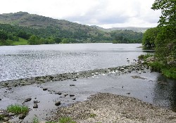 Picture of Old Park Wood Caravan Park, Cumbria Picture of Old Park Wood Caravan Park, Cumbria