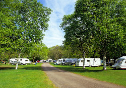 Picture of Elvaston Castle Country Park Caravan Club Site, Derbyshire, Central North England