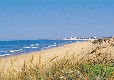 Picture of Cap Natur Vendee, Vendée