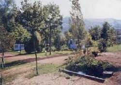 Picture of L'Orée Du Lac, Loire