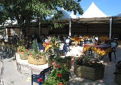 Picture of Sunelia L'Hippocampe****, Alpes-de-Haute-Provence Picture of Sunelia L'Hippocampe****, Alpes-de-Haute-Provence