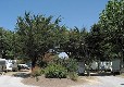 Picture of Camping Port-Punay, Charente-Maritime Picture of Camping Port-Punay, Charente-Maritime