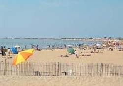 Picture of Camping Port-Punay, Charente-Maritime Picture of Camping Port-Punay, Charente-Maritime