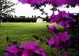 Picture of Rowan Park, West Sussex Picture of Rowan Park, West Sussex