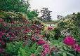 Picture of Normanhurst Court Caravan Club Site, East Sussex Picture of Normanhurst Court Caravan Club Site, East Sussex