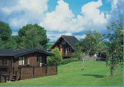 Picture of Doublebois Park, Cornwall