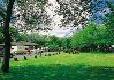 Picture of Pembrey Country Park Caravan Club Site, Carmarthenshire Picture of Pembrey Country Park Caravan Club Site, Carmarthenshire