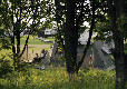 Picture of Veryan Camping and Caravanning Club Site, Cornwall Picture of Veryan Camping and Caravanning Club Site, Cornwall