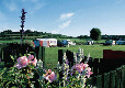 Picture of Salisbury Camping and Caravanning Club Site, Wiltshire