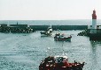 Picture of Manorafon Caravan Park, Ceredigion Picture of Manorafon Caravan Park, Ceredigion