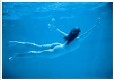 Picture of Euronat Medoc Ocean, Gironde Picture of Euronat Medoc Ocean, Gironde