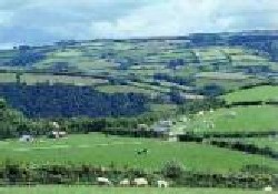 Picture of Halse Farm Caravan And Tent Park, Somerset