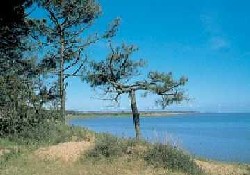 Picture of Bonne Anse Plage, Charente-Maritime Picture of Bonne Anse Plage, Charente-Maritime