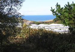 Picture of Widemouth Bay Caravan Park (John Fowler Holiday Park), Cornwall