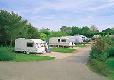 Picture of Black Horse Farm Caravan Club Site, Kent Picture of Black Horse Farm Caravan Club Site, Kent