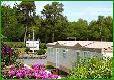 Picture of Drumlochart Caravan Park, Dumfries & Galloway Picture of Drumlochart Caravan Park, Dumfries & Galloway