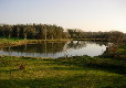 Ginger Hill Large Pond Ginger Hill Large Pond