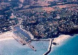 Picture of Des Palmiers, Côtes-d'Armor Picture of Des Palmiers, Côtes-d'Armor