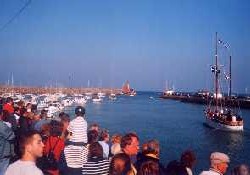 Picture of Des Palmiers, Côtes-d'Armor Picture of Des Palmiers, Côtes-d'Armor