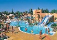 Picture of Les Mimosas, Aude