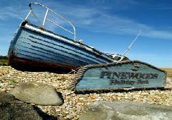 Picture of Pinewoods Holiday Park, Norfolk Picture of Pinewoods Holiday Park, Norfolk