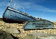 Picture of Pinewoods Holiday Park, Norfolk Picture of Pinewoods Holiday Park, Norfolk