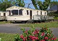 Picture of River Valley Caravan And Camping Park, Wicklow