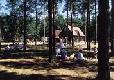 Picture of Thorpe Woodland Caravan & Camping Site, Norfolk Picture of Thorpe Woodland Caravan & Camping Site, Norfolk