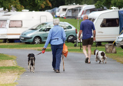 Picture of Blackmore No.2 Camping and Caravanning Club Site, Worcestershire