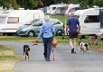 Picture of Blackmore No.2 Camping and Caravanning Club Site, Worcestershire