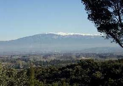 Picture of Domaine Le Jantou, Vaucluse