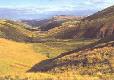 Picture of Swinhoe Links Caravan Park, Northumberland