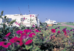 Picture of Great Yarmouth Racecourse Caravan Club Site, Norfolk, East England
