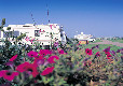 Picture of Great Yarmouth Racecourse Caravan Club Site, Norfolk, East England Picture of Great Yarmouth Racecourse Caravan Club Site, Norfolk, East England
