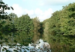 Picture of Waveney Valley Lakes, Norfolk Picture of Waveney Valley Lakes, Norfolk