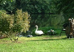 Picture of Waveney Valley Lakes, Norfolk Picture of Waveney Valley Lakes, Norfolk