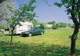 Picture of Hawthorn Farm Caravan Club Site, Lincolnshire Picture of Hawthorn Farm Caravan Club Site, Lincolnshire