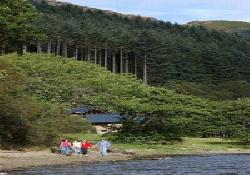 Picture of Strathyre Forest Cabins, Perth & Kinross