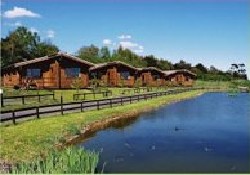 Picture of Sherwood Castle Holiday Forest, Nottinghamshire