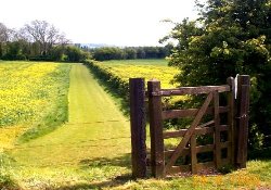 Picture of Bo Peep Farm Caravan Park, Oxfordshire Picture of Bo Peep Farm Caravan Park, Oxfordshire