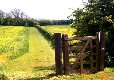 Picture of Bo Peep Farm Caravan Park, Oxfordshire Picture of Bo Peep Farm Caravan Park, Oxfordshire