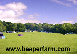 Picture of Beaper Farm Caravan & Camping Site, Isle of Wight